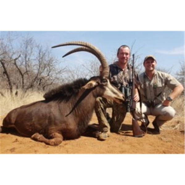 10-Day Sable Hunt