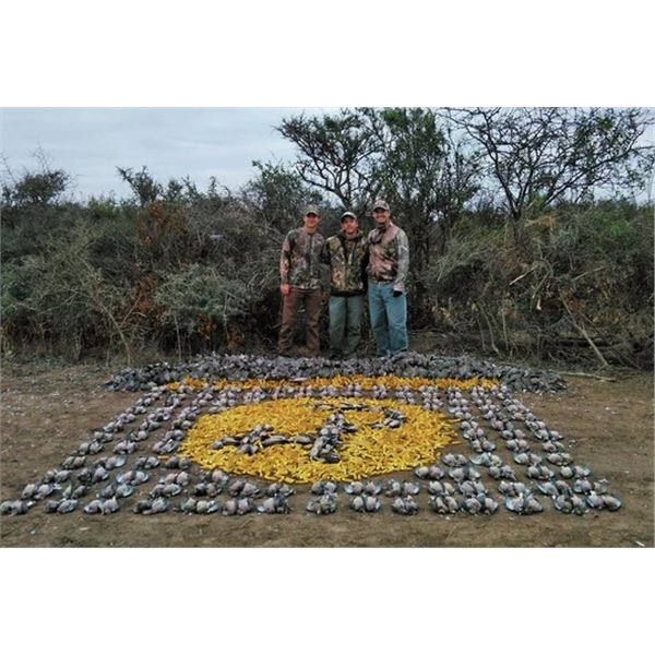 4-Day Argentina Dove Hunt for 4