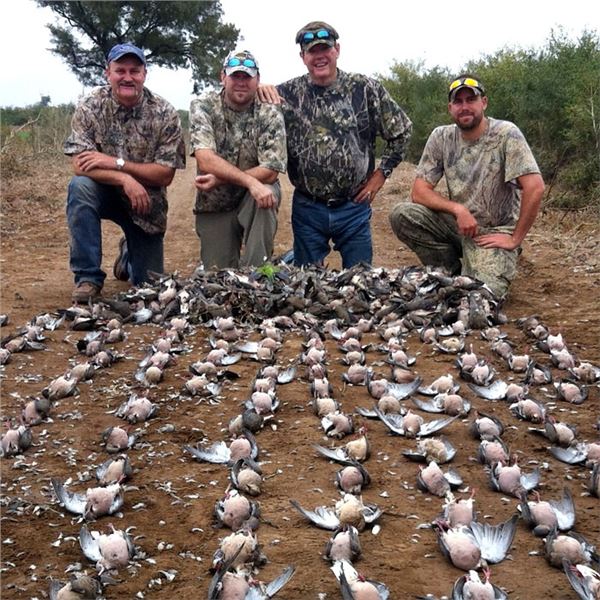 3-Day Argentina Dove and Pigeon Hunt for 3