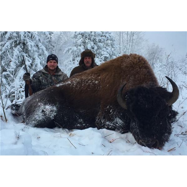 Alberta Hunting Company – Bison Hunt