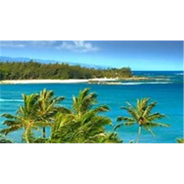 Hawaiian Islands Condo