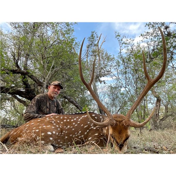 Texas - All Inclusive Axis Deer Hunt