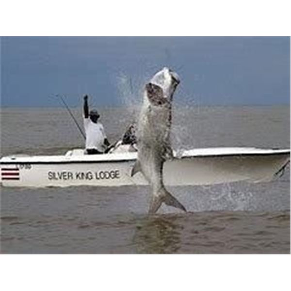 Costa Rica – Silver King Lodge Tarpon Fishing