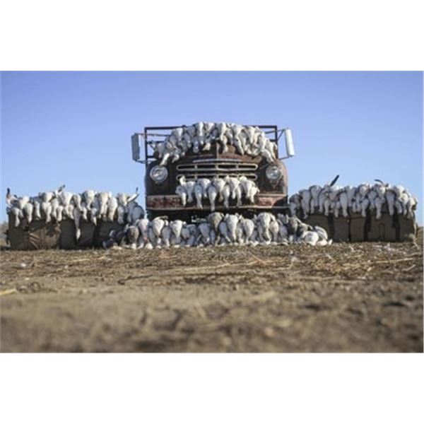 Saskachewan – Spring Goose Hunt 2 Hunters