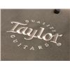 Image 2 : "Hero" (Boy) Guitar - Taylor 6-string acoustic w/ soft case (From the superhero show)