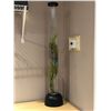 Image 1 : Exotic artificial flower in lighted plexiglass tube - approx 40" tall (From the superhero show)