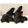 Image 1 : 4 freshly killed small furry animal corpses - ep. 409 sc.22 (From the superhero show)