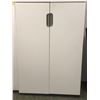 Image 1 : White 2 door T.B. storage cabinet - season 3 ep. 316 (From the superhero show)