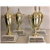 Image 2 : Group of 4 "Hero" (Girl) stabby trophies - ep. 503 sc. 13 (From the superhero show)