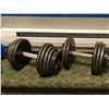 Image 2 : Group of 5 assorted dumbbells (From the superhero show)