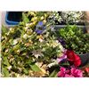 Image 2 : Pallet loaded w/ assorted artificial flowers (From the superhero show)