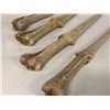 Image 2 : 4 Bone daggers (rubber Props) ep. 509 (From the superhero show)
