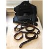 Image 1 : Group of TB guard dog harnesses & leashes - multiple ep. & scenes (From the superhero show)