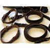 Image 2 : Group of TB guard dog harnesses & leashes - multiple ep. & scenes (From the superhero show)