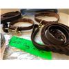 Image 2 : 2 Dog leashes / collars - 1 rhinestone dog collar & 1 pony leash - multiple ep. & scenes (From the s