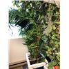 Image 2 : Group of 3 large artificial tropical plants & 2 artifical tomato plants w/ wooden planter boxes (Fro