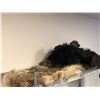 Image 1 : Group of animal fur - blackbear pcs. / coyote pcs. / black fur hat (From the horror drama show)
