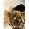 Image 2 : Group of animal fur - blackbear pcs. / coyote pcs. / black fur hat (From the horror drama show)