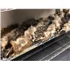Image 1 : 3 Raccoon hides (From the horror drama show)