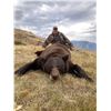 Image 1 : 5 Day Fully Guided British Columbia Black Bear Hunt   Ashnola Guide Outfitter