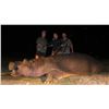 Image 1 : 5 Day Hippo Hunt   for One  Chris DuPloy Safaris