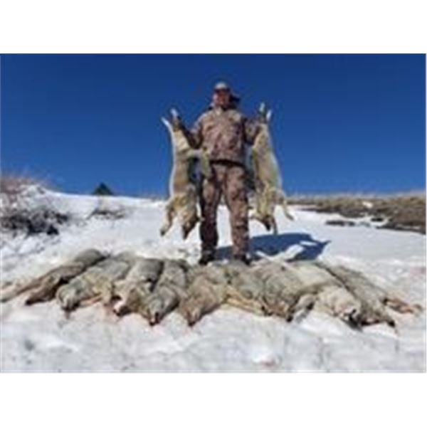 Nebraska Predator Hunt Oldaker Outfitting