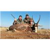 Image 1 : 7-Day South African Blesbuck Hunt for 2 Hunters   Matewetwe Safaris