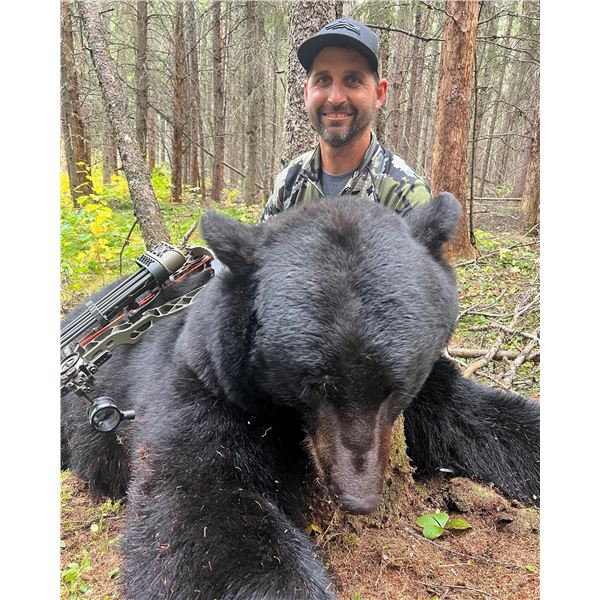 Saskatchewan Black Bear  Hunt   Buck Country Outfitters