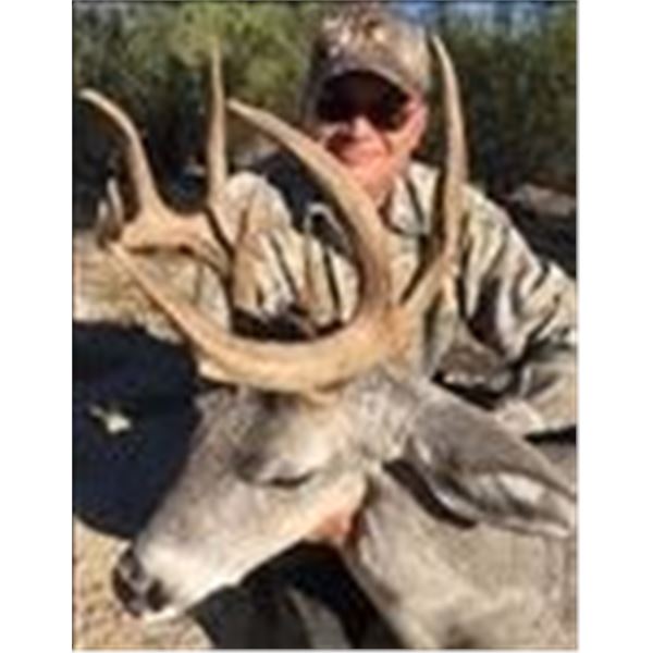 Arizona Coues Deer Hunt  Rincon Outfitters