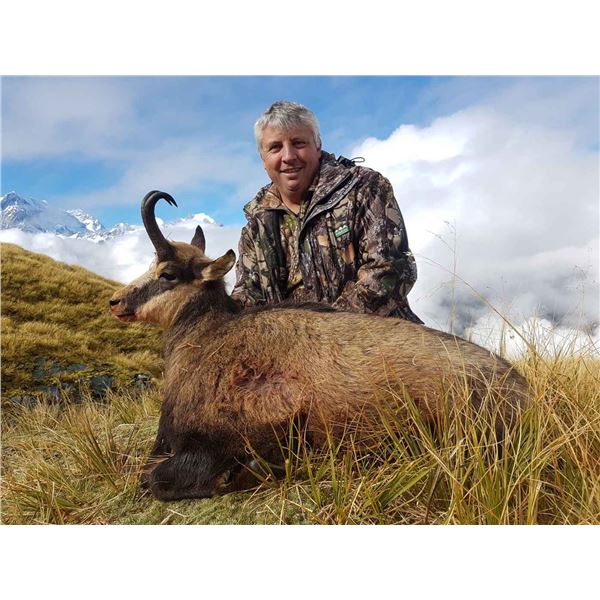 New Zealand Chamois and Tahr  4 Day Combo Hunt Package   Cardrona Outfitters