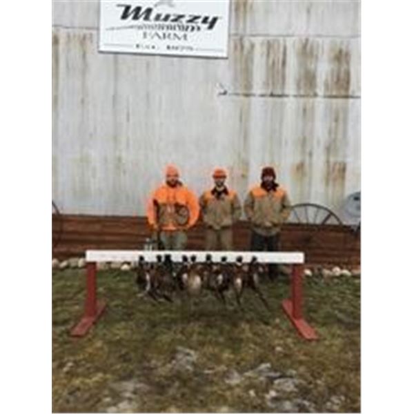 Michigan Pheasant Hunt  Muzzy Pheasant Farm