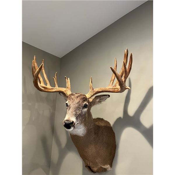 Michigan Walleye Fishing Trip   Medicine Man