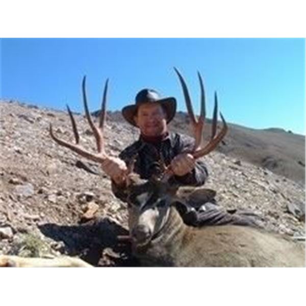 British Columbia Mule Deer Hunt  for 2 Hunters    BC Trophy Mountain Outfitters