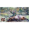 Image 1 : 6 Day Colorado Archery  Bull Elk Hunt   KB Outdoors