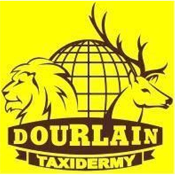 Dourlain Taxidermy  $1,000  Certificate