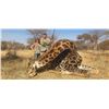 Image 1 : 5 Day   Tsessebe and Giraffe Hunt for one Hunter   Chris DuPloy