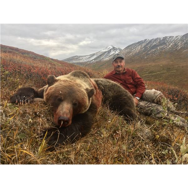 Spring or Fall Yukon Grizzly Bear Hunt for one Hunter    Yukon Big Game Outfitters