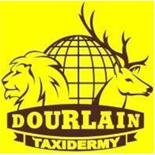 Dourlain Taxidermy   $1,000 Certificate
