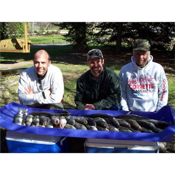 Michigan Walleye Fishing Trip  Medicine Man