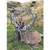 Image 1 : 3 Trophy New Zealand Hunt of a Lifetime  Cardrona Outfitters