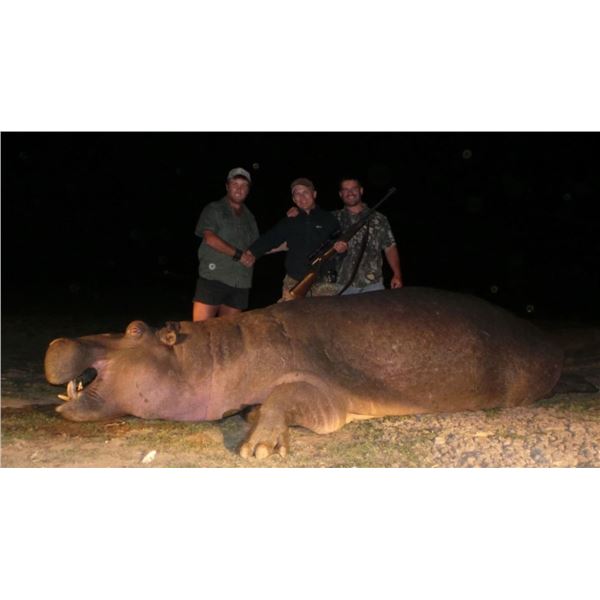 5 Day Hippo Hunt   for One  Chris DuPloy Safaris