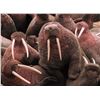 Image 1 : 5-Day Canadian Walrus Hunt for One Hunter   Canadian High Arctic Adventures