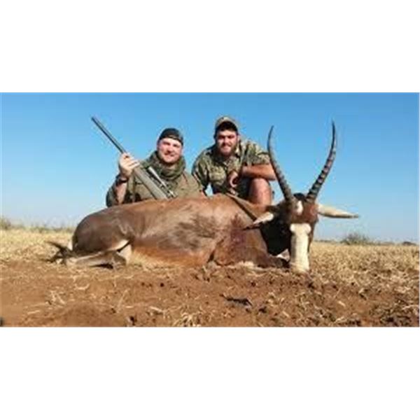 7-Day South African Blesbuck Hunt for 2 Hunters   Matewetwe Safaris