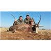 Image 1 : 7-Day South African Blesbuck Hunt for 2 Hunters   Matewetwe Safaris