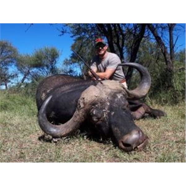 South African Buffalo and Sable Hunt with De Wet African Safaris