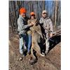 Image 1 : Mountain Lion Hunt  Milliron T.J. Outfitting Inc.