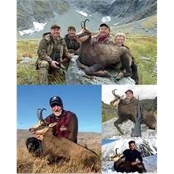 New Zealand Buck Chamois Hunt  for One Hunter  Cardrona Outfitters