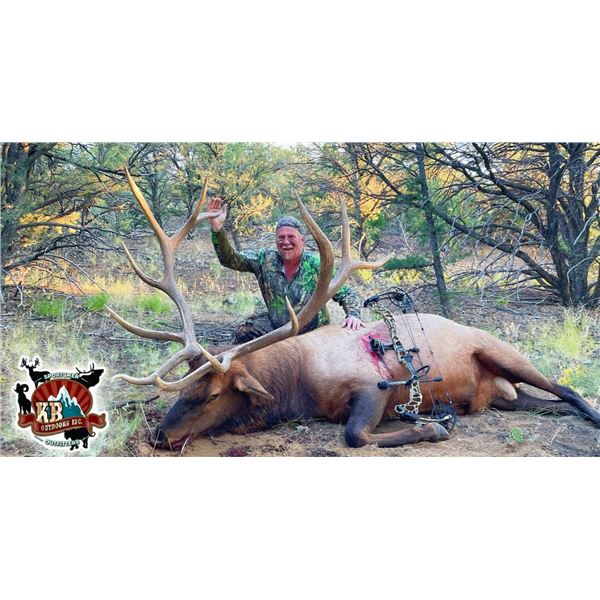 6 Day Colorado Archery  Bull Elk Hunt   KB Outdoors