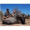 Image 1 : South Africa Plains Game Hunt for 2 Hunters and 2 Observers   De Wet Hunting Safaris