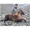 Image 1 : New Zealand Spring Bull Tahr Hunt for One Cardrona Outfitters